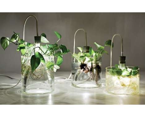 14 Lush Illuminating Planters - From Light Bulb Vases to Solar-Powered Plant Pots (CLUSTER)