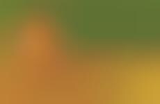 The Sci Spy App Lets Users Get Reacquainted with Nature