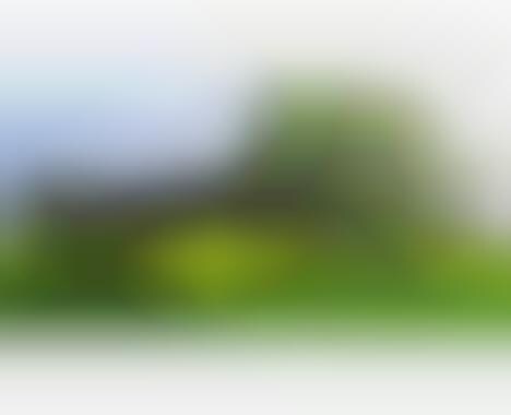 http://cdn.trendhunterstatic.com/phpthumbnails/111/111697/111697_1_468c.jpeg