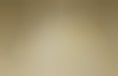 Secretive Speech Ads
