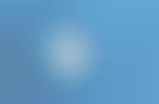 Shared Expense Software