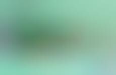 Sorbet-Colored Interiors