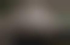 Animated Inanimate Photography