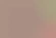 Seasonal Strike Contests