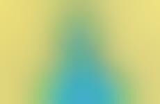 Color-Blocked Human Mannequins