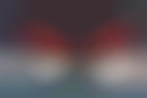 Seductive Geeky Lingerie Pokebra Pokemon Bra