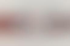 Brainy Bookworm Infographics