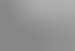 Greyscale Gipsy Captures