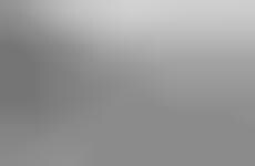 Greyscale Gipsy Captures