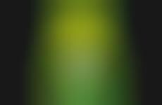 Luminescent Insect Farms