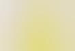Luxurious Yellow Collections