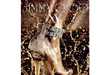 45 Gorgeous Jimmy Choo Innovations