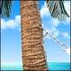 Paradise in Your Back Garden 2