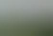 Landscape-Protecting Photography