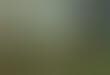 Scenic Landscape Captures