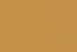 Campy Coffee Brands