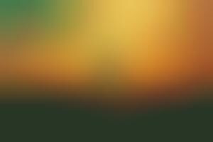 Photographer Tim Navis Values the Beauty of Simplicity in His Work