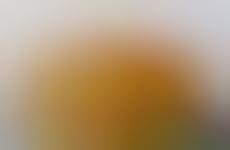 Boxy Barren Landscapes