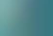 Microblogging Service Guides