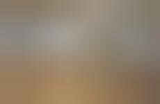 Dubious Domestic Photography