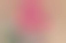 Daringly Defined Digitoons