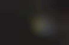 Personified Produce Blogs - The Diary of a Space Zucchini by Don Pettit Documents Vegetable Life
