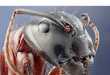 100 Intriguing Insect Innovations