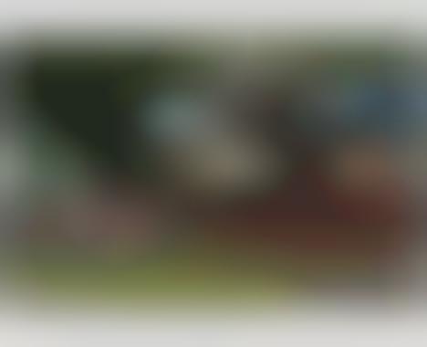 http://cdn.trendhunterstatic.com/phpthumbnails/15/15223/15223_1_468c.jpeg