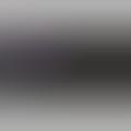 'Address Is Approximate' by The Theory