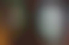 Deflecting Dualistic Monitors