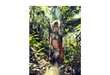 70 Frolicking Forest Photoshoots