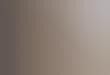 Superimposed Kitty Blogs