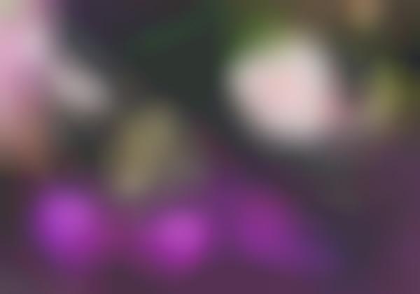 Crazy Lingerie Designs