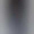 Chic Colorless Collections - The Theyskens' Theory Spring 2013 Collection Focused on Shades