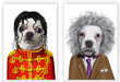 52 Animal Costumes