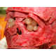 Eat Your Brains Out Any Time with the DIY Edible Skull 9