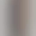 The News in Thumbnails - 'Fascinum' Online Live Art