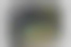 CGI Graphic Apps