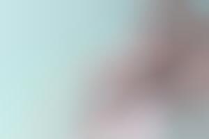 The Brante Summer 2013 Collection Houses Brazilian Leather Goods
