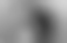 Dynamically Veiled Portraits
