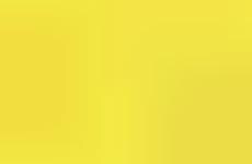 Primary Color Portraits