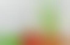 Colorful Gelatinous Greenhouses