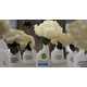 From Homemade Cleaner Kits to Flower Petal Cleansers 1