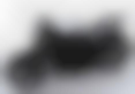 Sinuous Streamlined Motorcycles Boxer Naked Bike