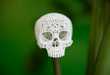 60 Pieces of Super Scary Skull Art