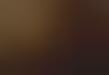 Precious Pet Play Apps