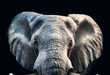 81 Amazing Animal Ads