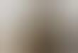 Zoomed Wild Animal Photography