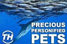 Precious Personified Pets - The Dolphins in San Diego Inspire Creatures to Copy Mankind