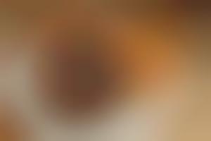 The Donut Toy Camera is a Deliciously Deceiving Device